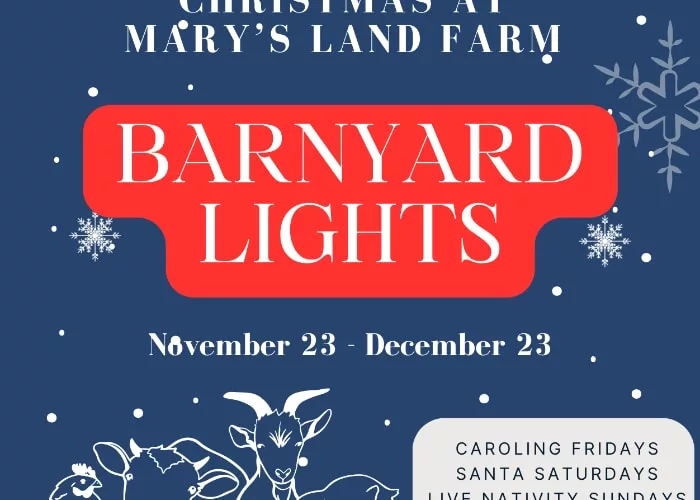 barnyard-lights-christmas-at-marys-land-farm