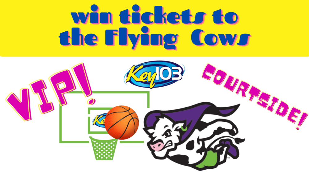 flying-cows-win