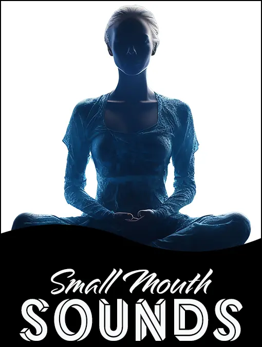 maryland-ensemble-theatre-31-w-patrick-street-frederick-md-21701-small-mouth-sounds