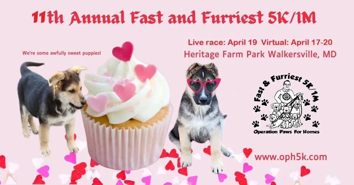 xrddaf74ol_nb023j5360827142041477220t24020501