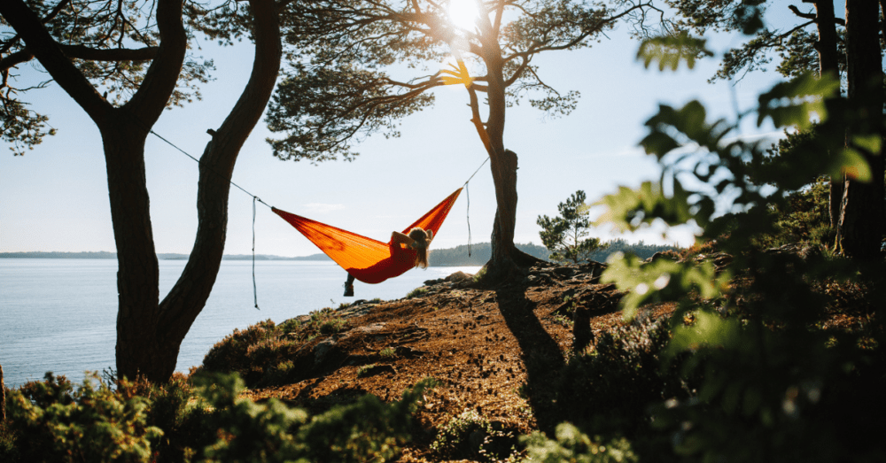 31465-summer-relaxation_source_file797912