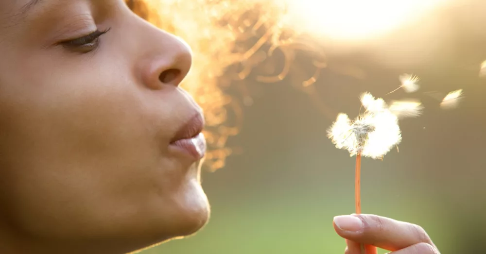 16185-woman-blowing-dandelion-letting-go-of-worry-g824448