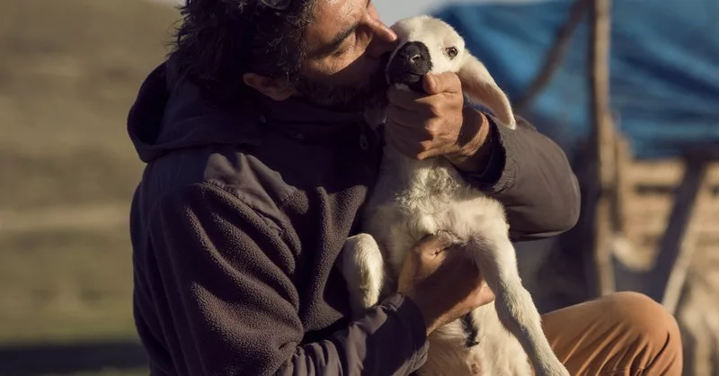 6272-man-kissing-baby-sheep-shepherd-gettyimages-m491330