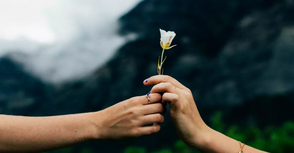 6006-friends-forgiveness-flower-unsplash-evan-kirb436554