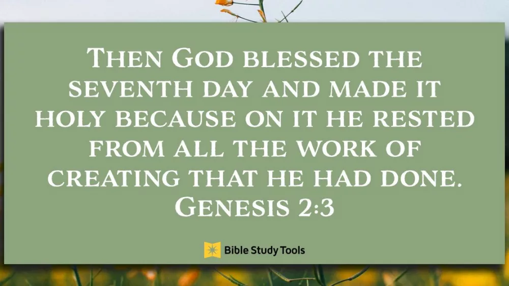 18888-genesis-2-3-fb561833