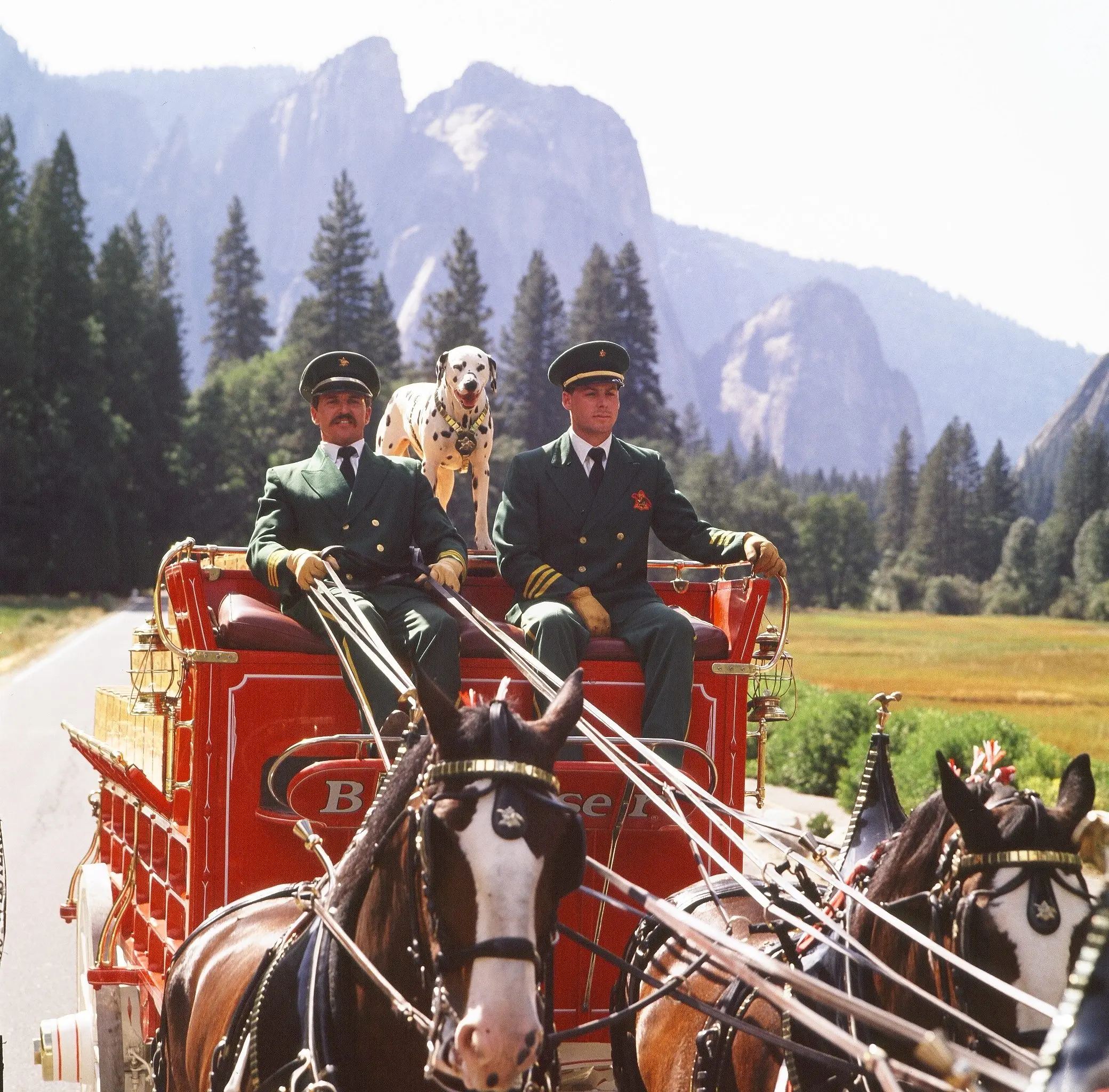 press photo from brown distributing 2025