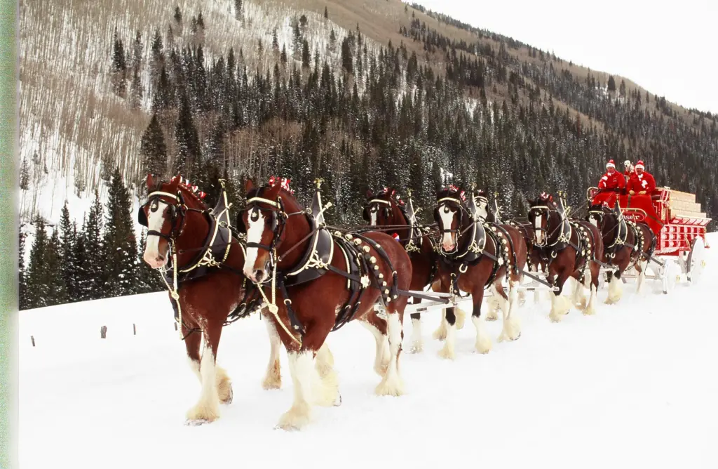 press photo from brown distributing 2025