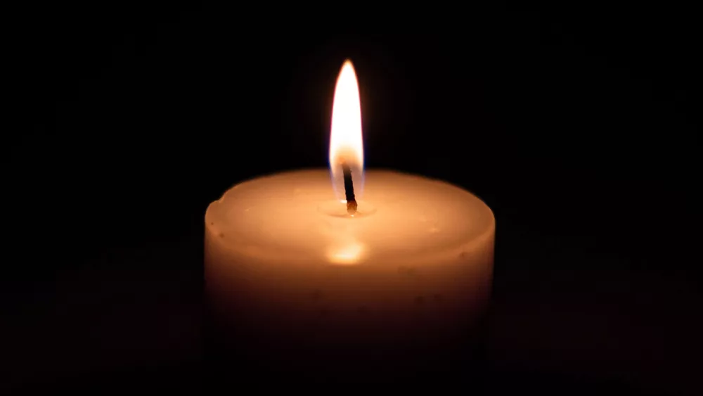 shutterstock_1392404078170858