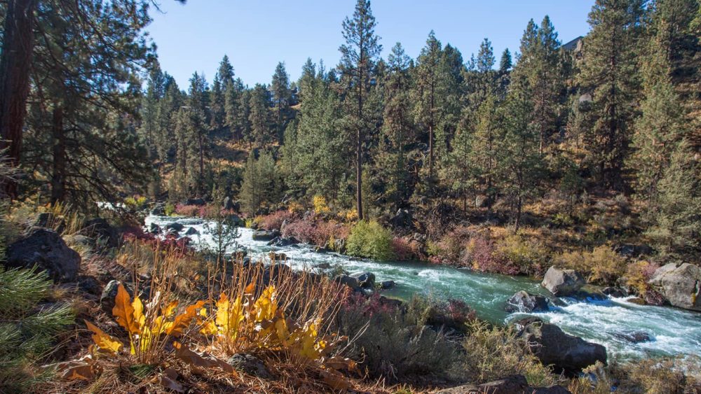 deschutes-river-trail-north-reach-riley-ranch_4