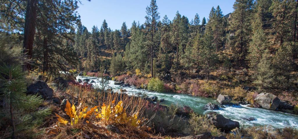 deschutes-river-trail-north-reach-riley-ranch_4