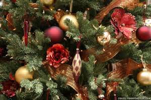 christmas-tree-close-2