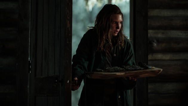 e_yellowjackets_032323619349