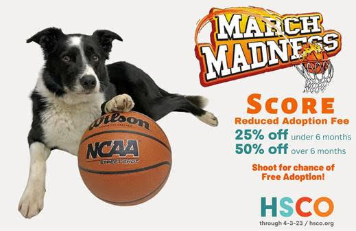 hsco_march_madness98004