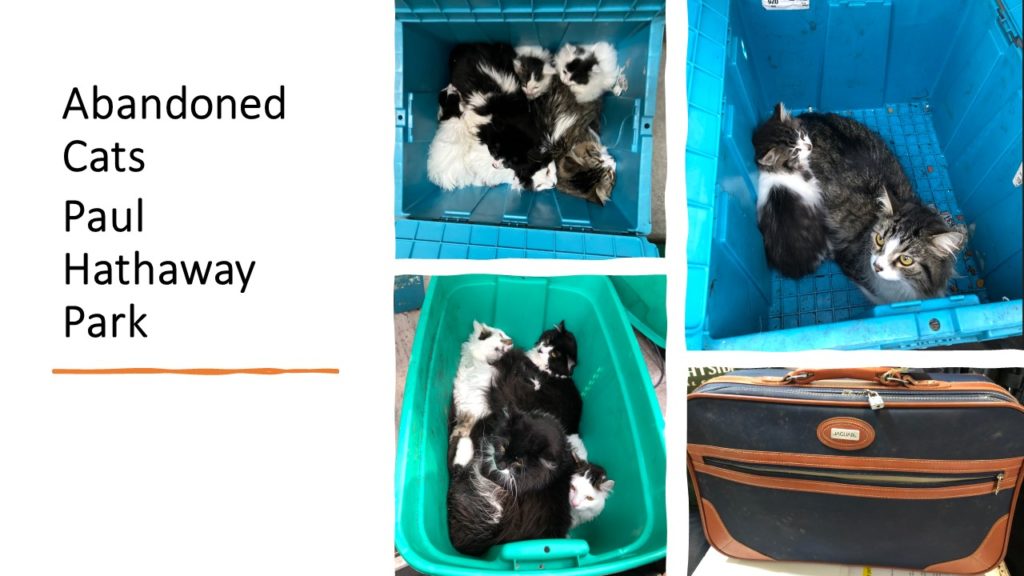 collaboration_pic407005