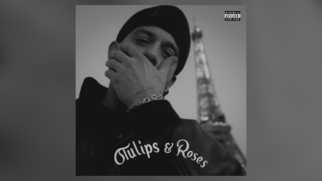 m_geazytulipsandroses_033023830420