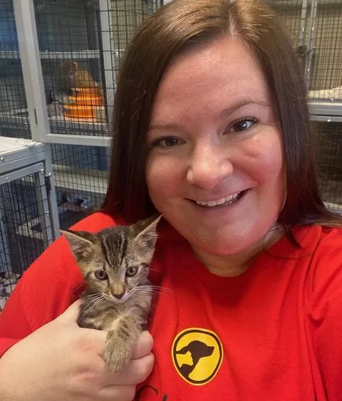 taylor-with-rescued-kitten-at-brightside-rotated254329