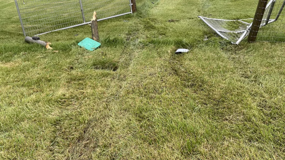 alpalca_fence-rotated506622