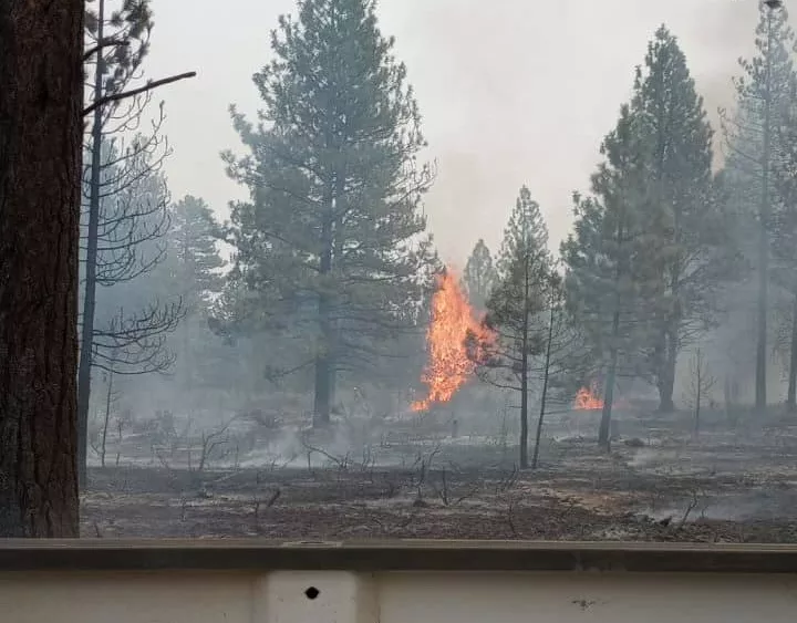 juniper_creek_fire2685336
