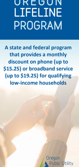 lifelinebrochure40773