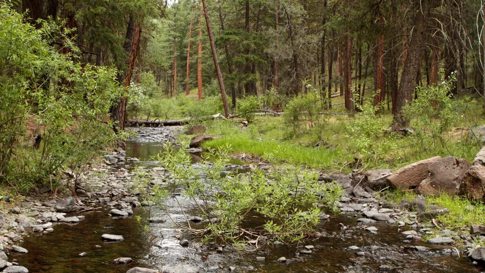 mckay-creek857663