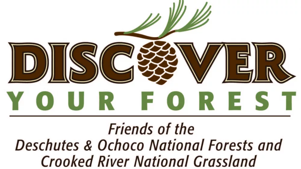 discover_your_forest425126