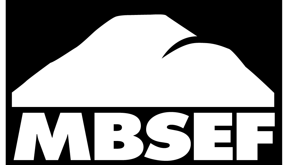 mbsef-logo-black713421