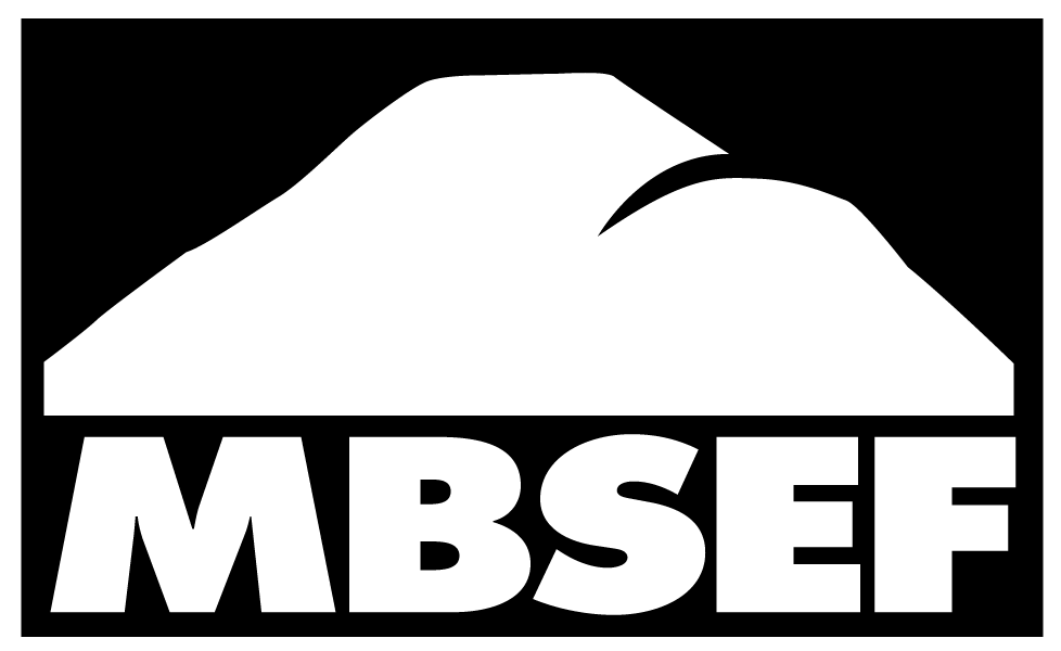 mbsef-logo-black713421