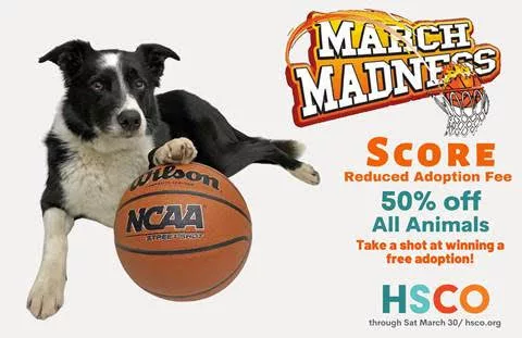 hsco_marchmadness139945