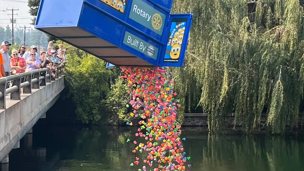 ducks-splash-into-river-rotated229779