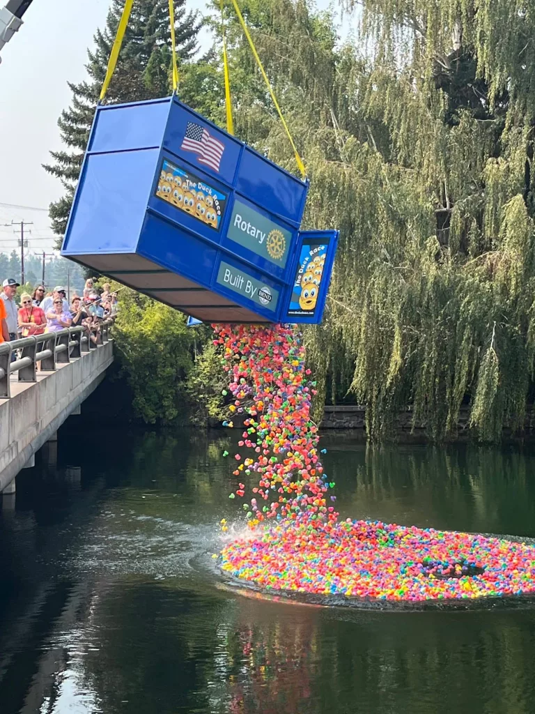 ducks-splash-into-river-rotated229779