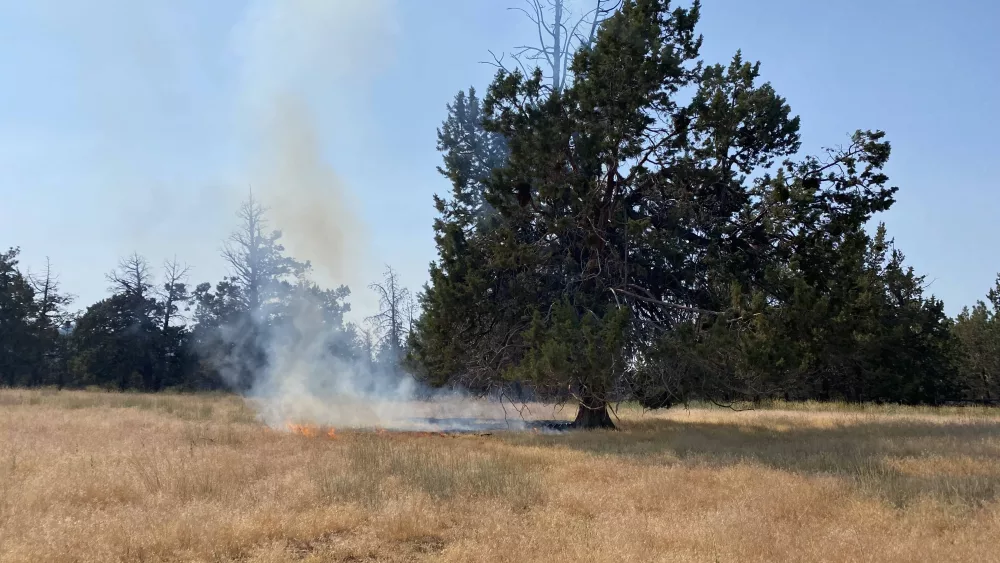 skyline_ranch_rd_fire_photo_7-22-24861955