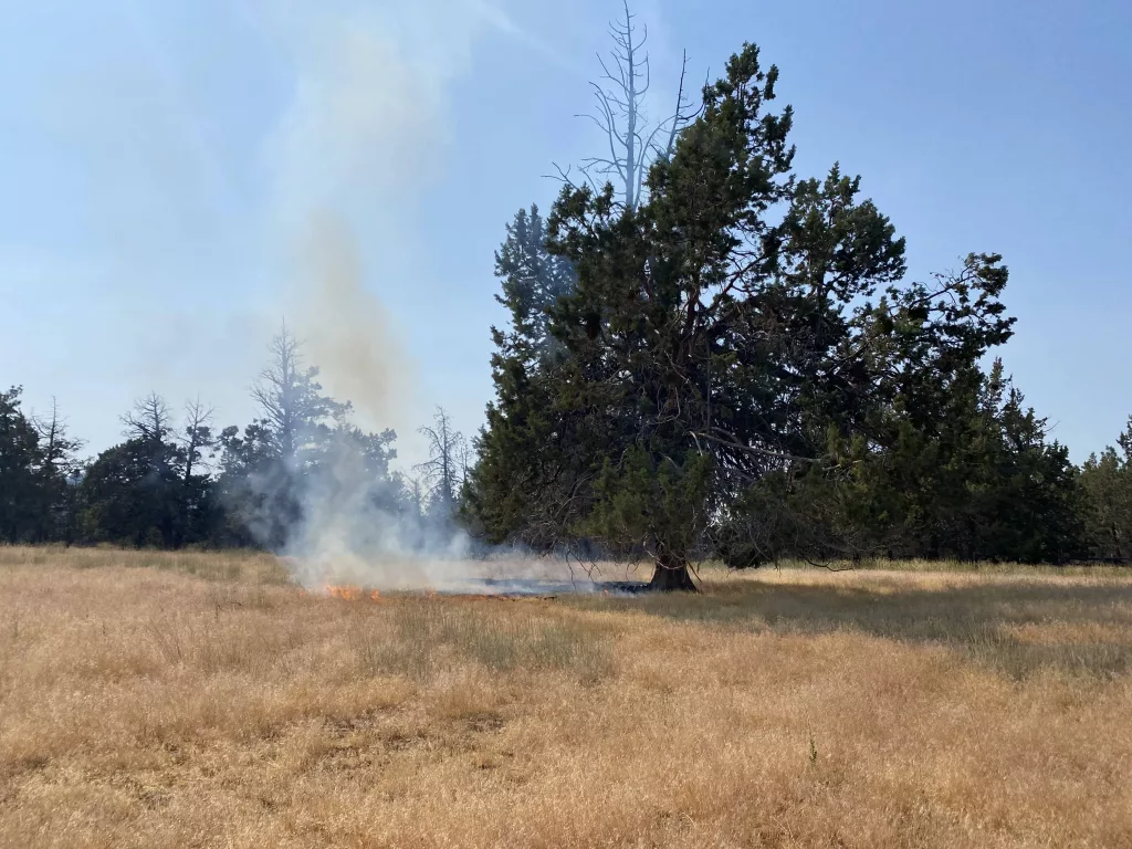 skyline_ranch_rd_fire_photo_7-22-24861955