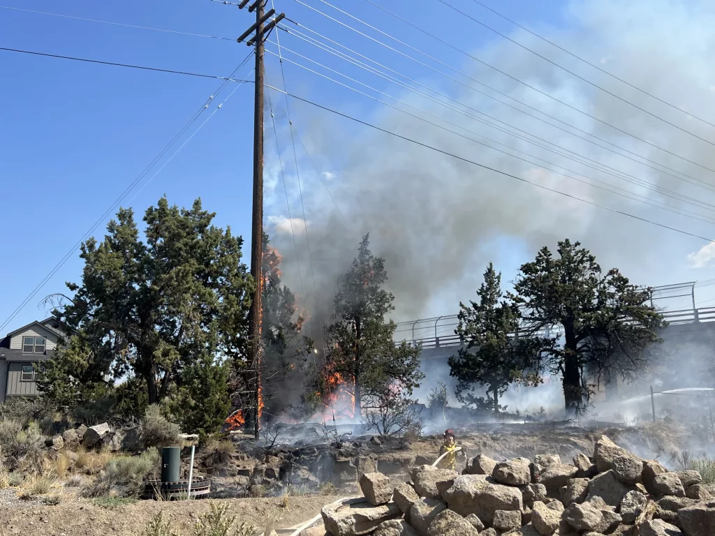 empire_brush_fire3056
