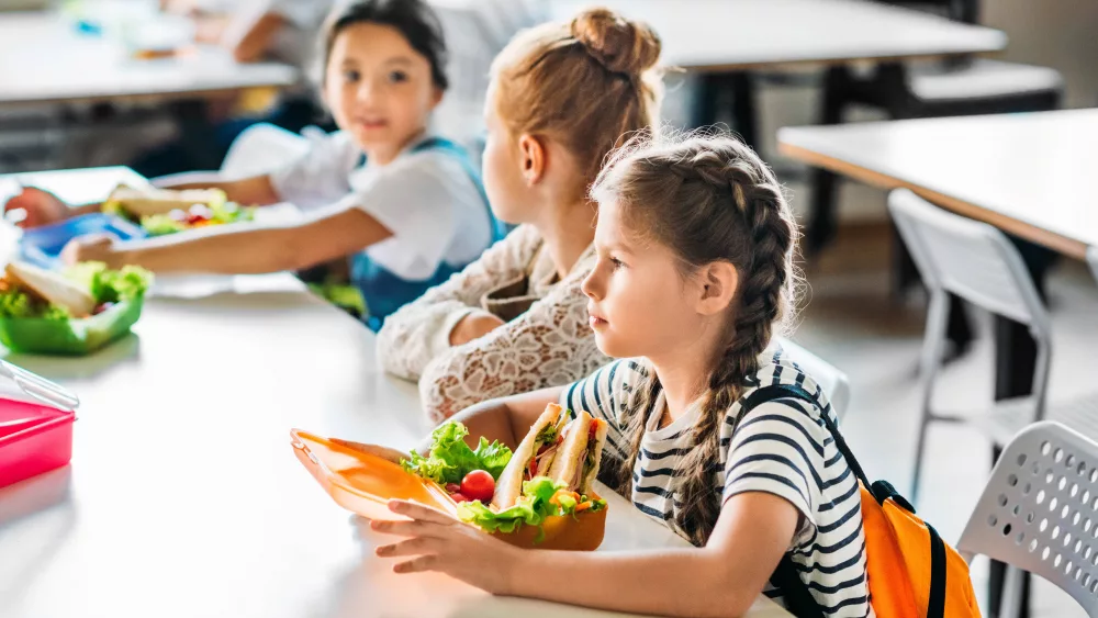 school_lunch706079