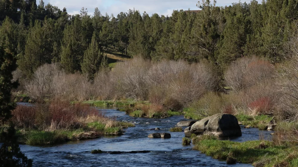 cline_falls_scenic_view316140