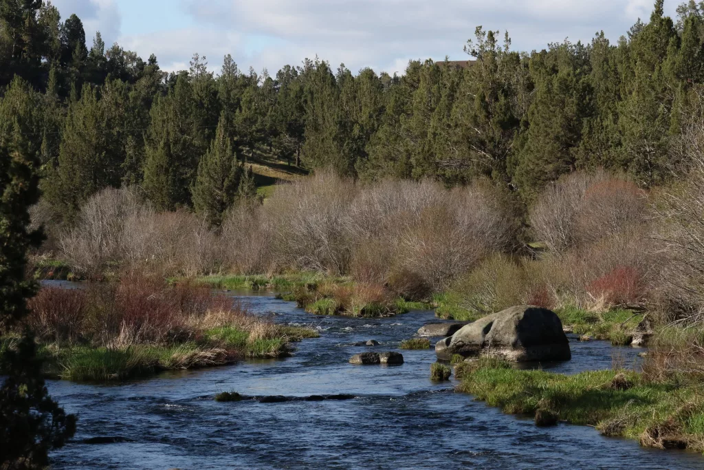 cline_falls_scenic_view316140