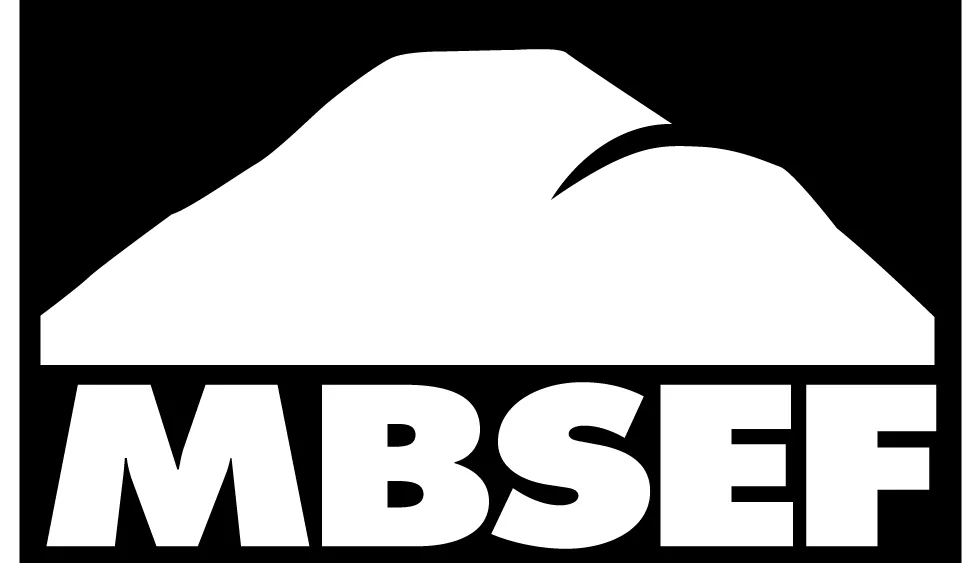 mbsef-logo-black382478