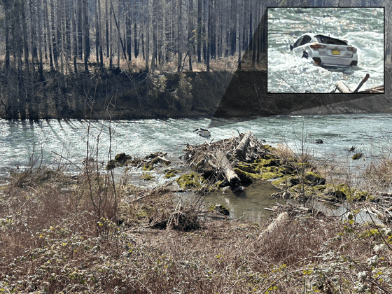 mckenzie_river233184