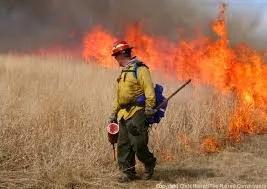 prescribed-burn773623