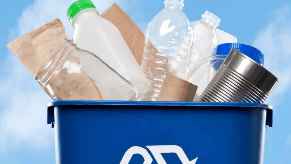 recycle84889