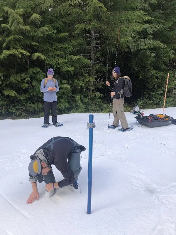 54774588319_73c4bbfb46_c143092