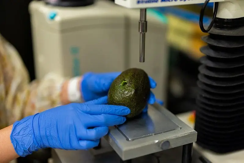 54843648404_31f0bd203f_c296533