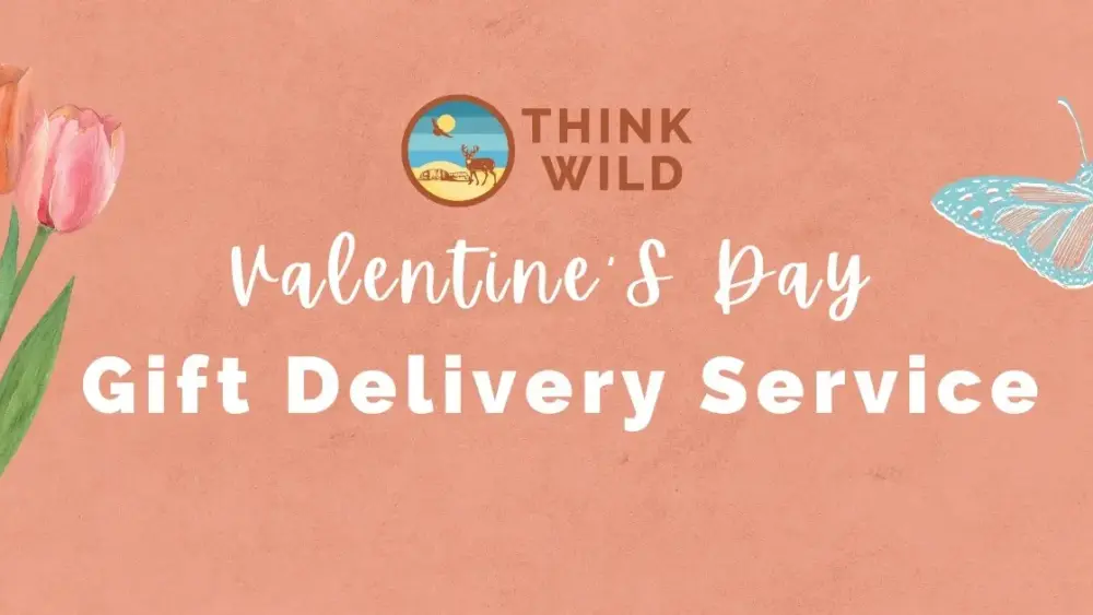 imgi_27_valentines-day-banner-2-png-2