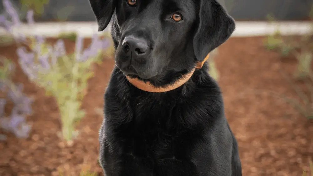 sadie2025photo282712