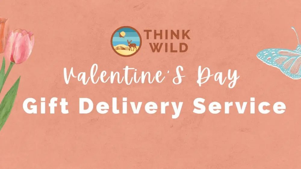 imgi_27_valentines-day-banner-2354886