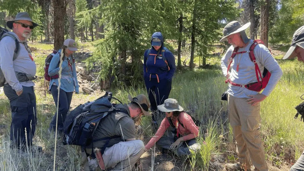 volunteers-observing-and-interpreting-track-and-sign-during-a-summer-outing-in-the-ochocos121922