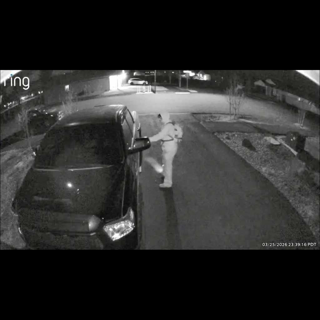 lapinevehicletheft1228134