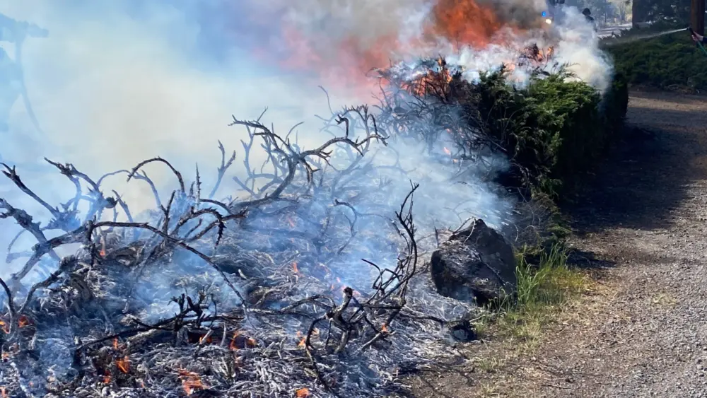 croppedbrushfirestudiord87263