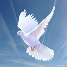 meng-family-funeral-home-dove