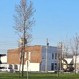 greenwell482440